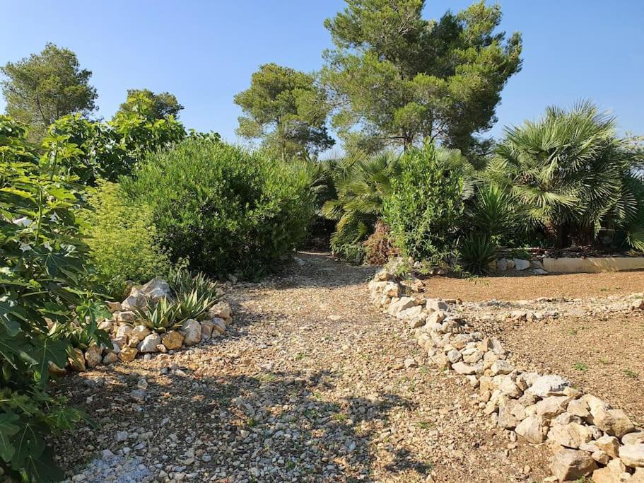 Le Petit Paradis 올리벨라 외부 사진